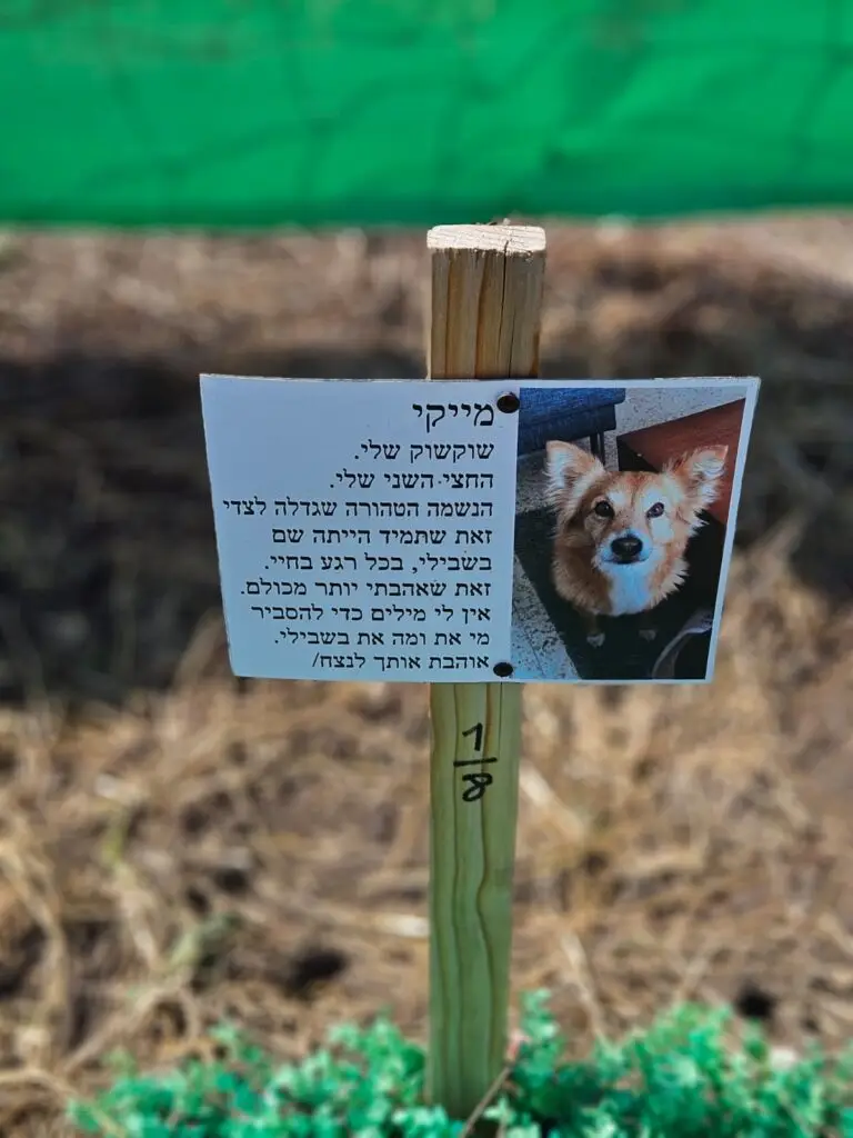 קבורה לכלבה מייקי