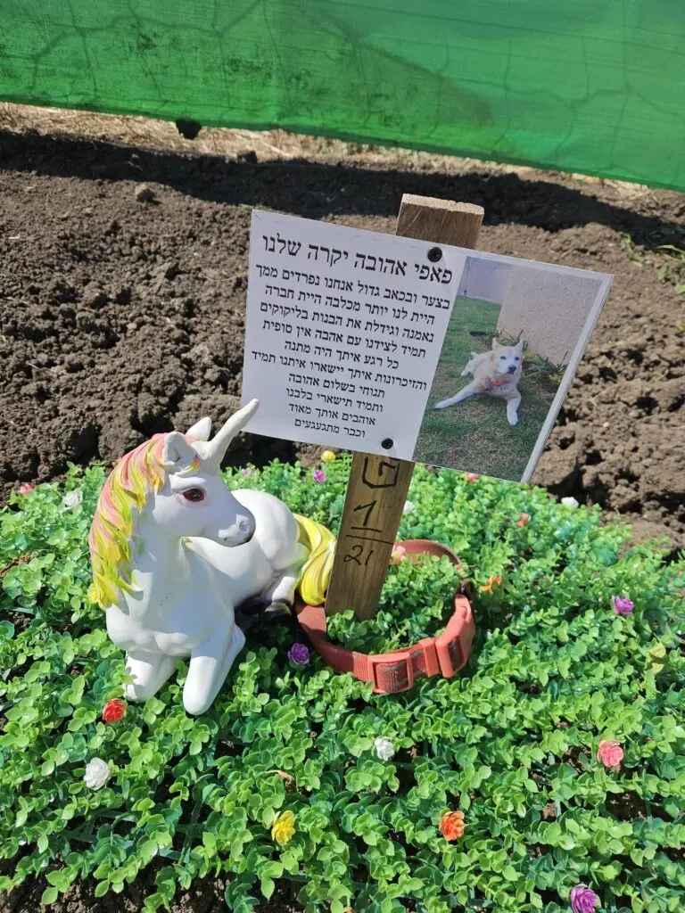 קבר לכלבה פאפי